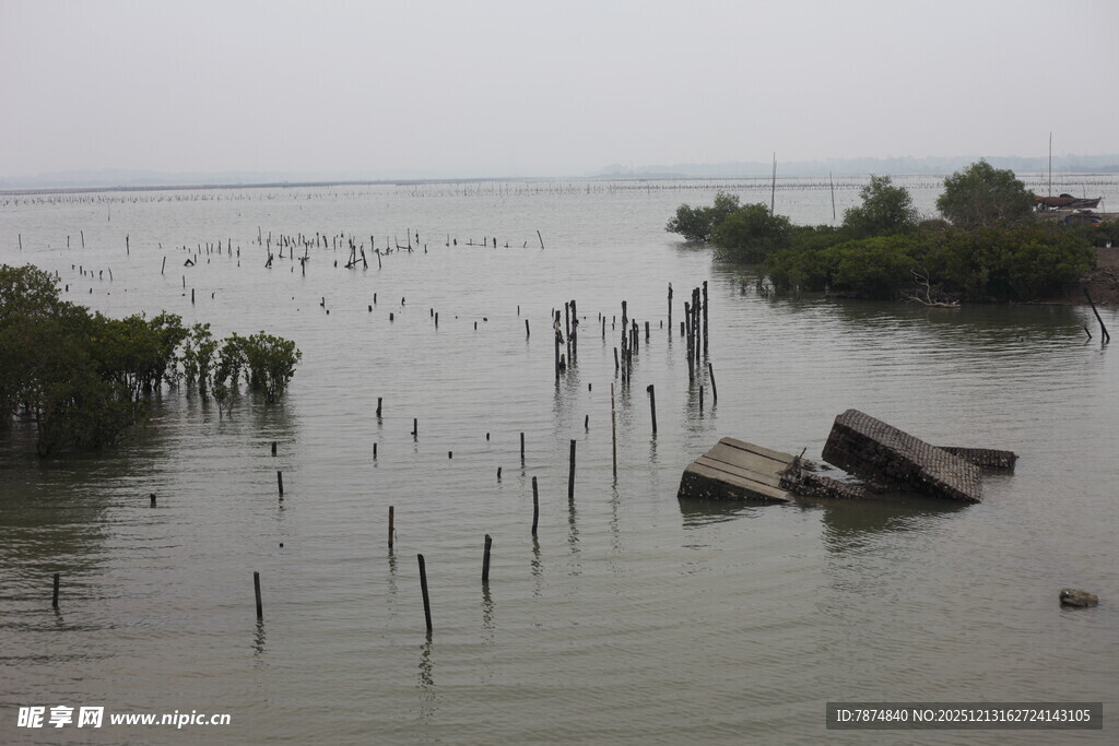 被淹区域的残垣与植被
