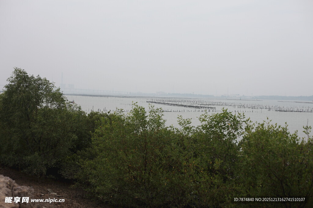 湖畔绿树环绕的宁静景致