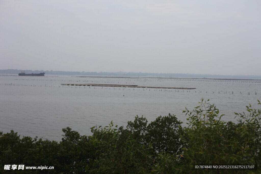 湖畔远景绿树与水域相映