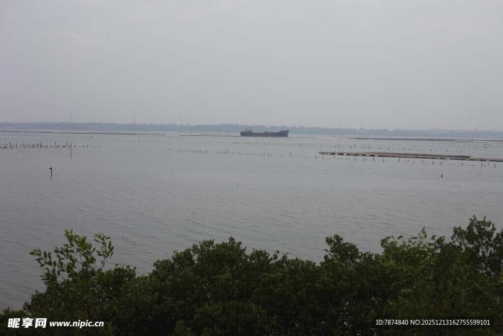 海边远景绿植点缀海面
