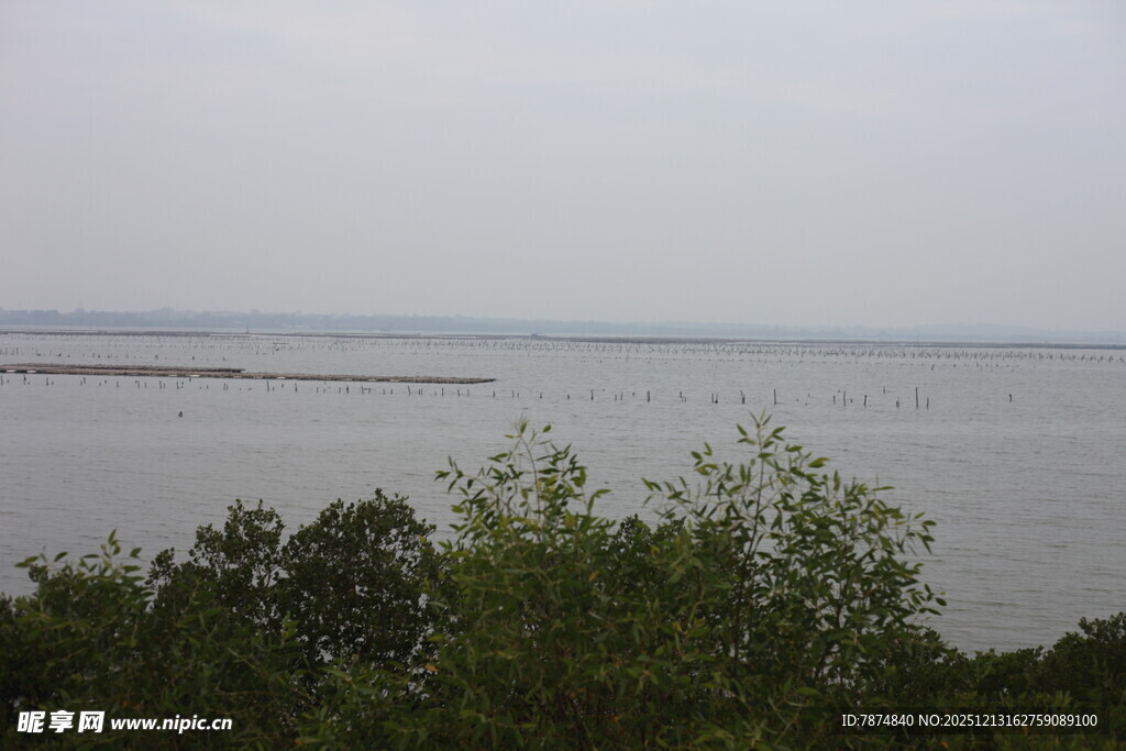 湖畔绿树环绕的开阔景致