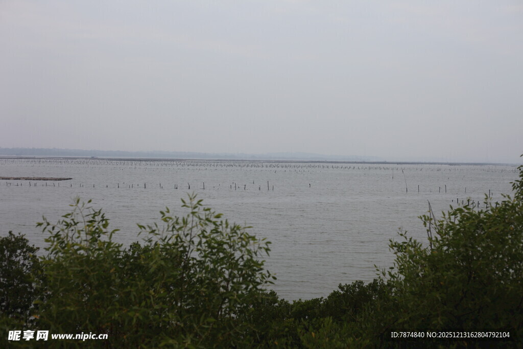 湖畔绿树环绕的宁静水域