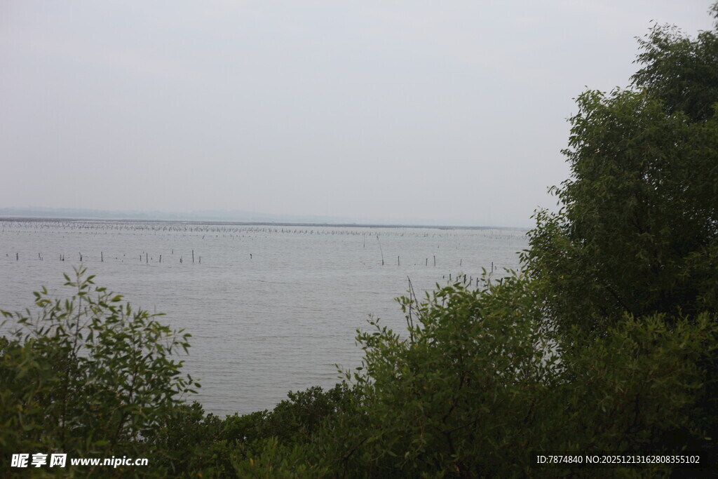 湖畔绿树环绕的宁静景致