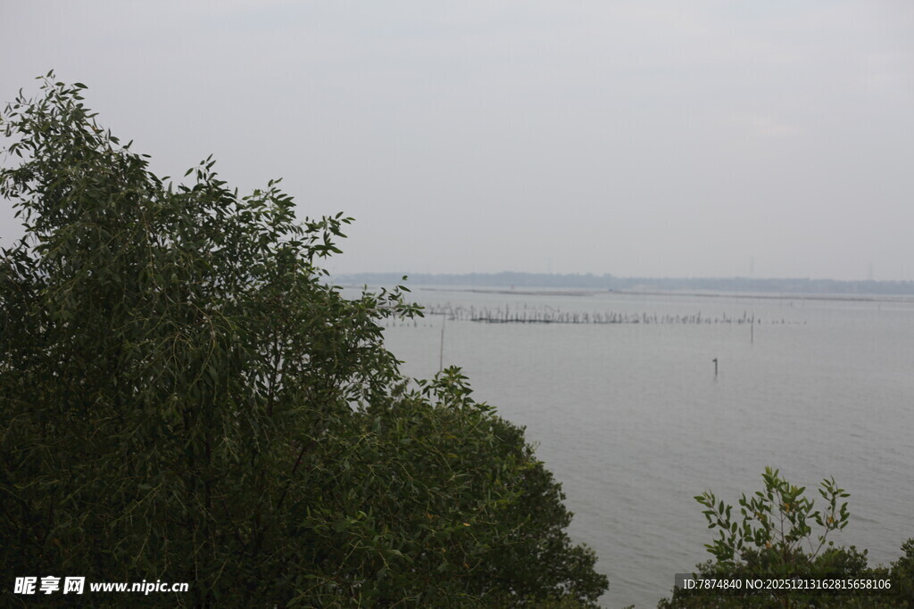 湖畔绿树环绕的宁静景致