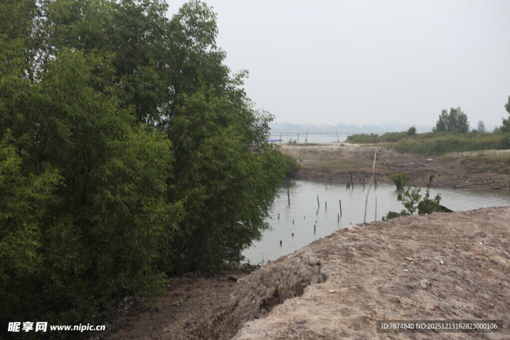 河畔绿树环绕的宁静风光