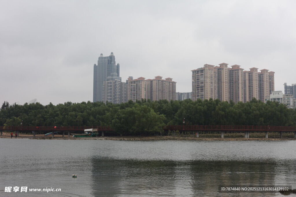 湖畔高楼与葱郁树林景观