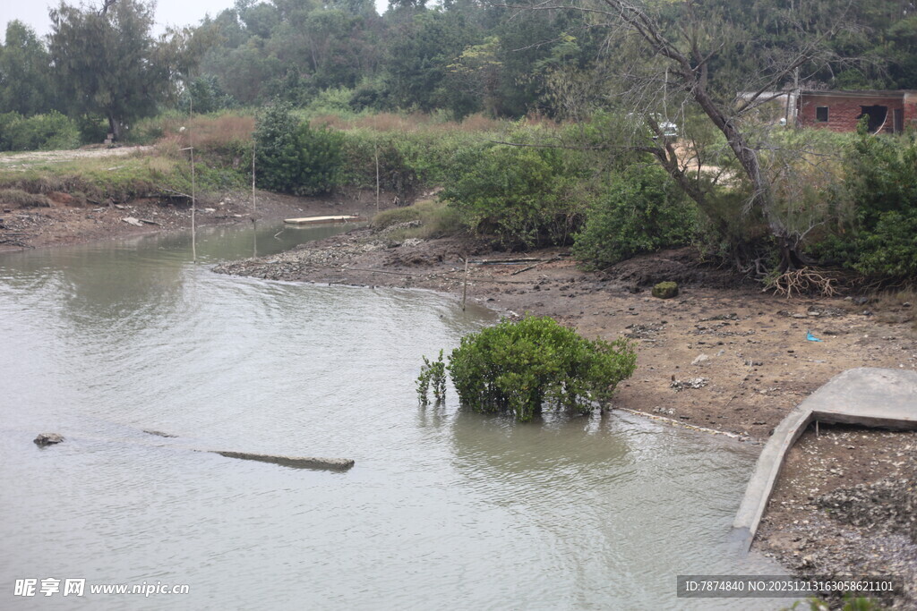 河岸自然景观与水中植被