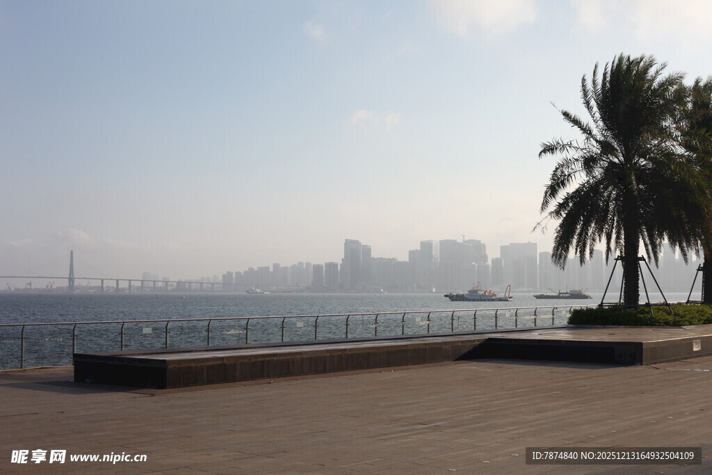 海滨城市风光棕榈树相伴