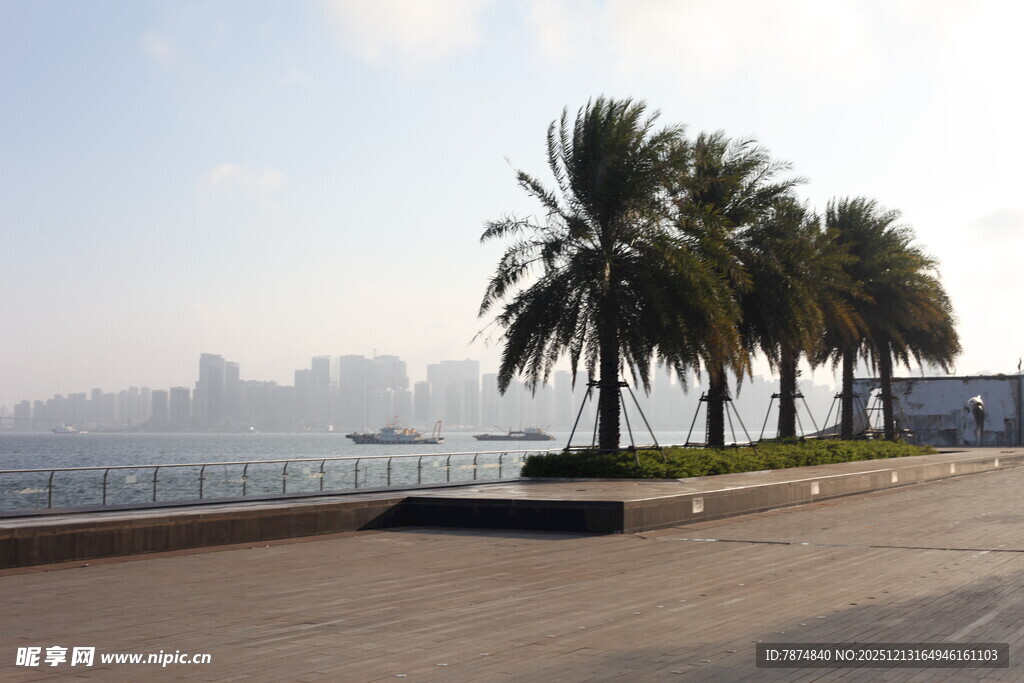 海滨椰树旁的空旷道路