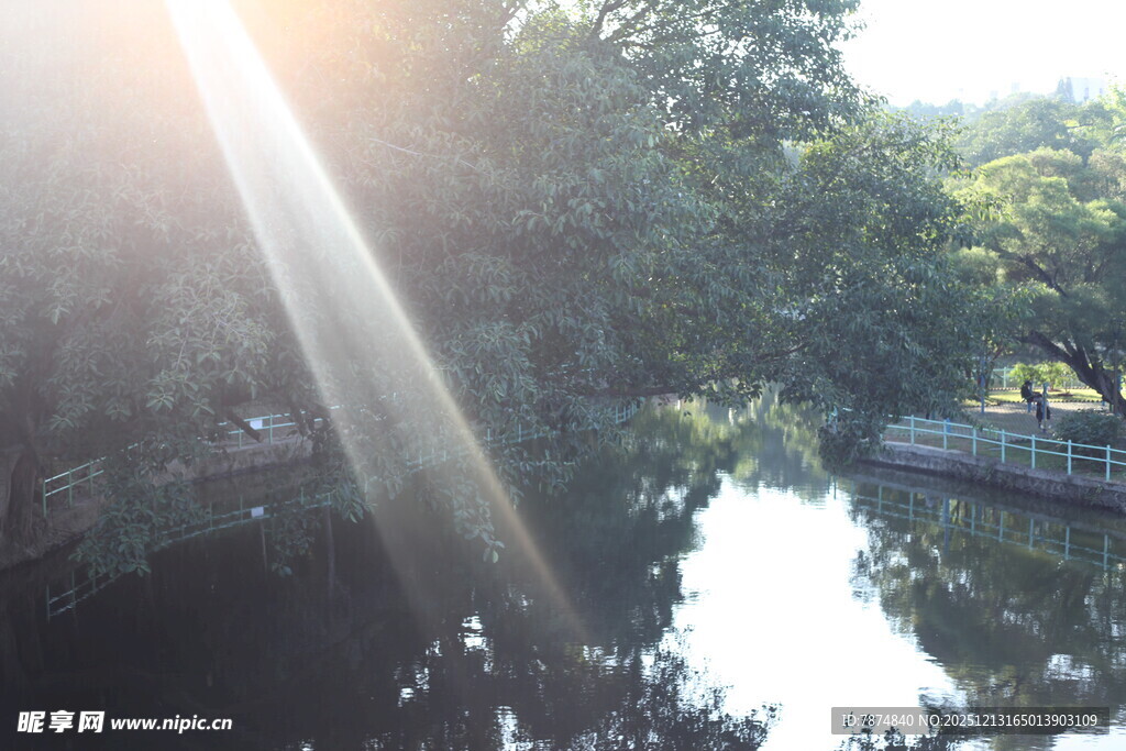 阳光洒落林间湖泊美景