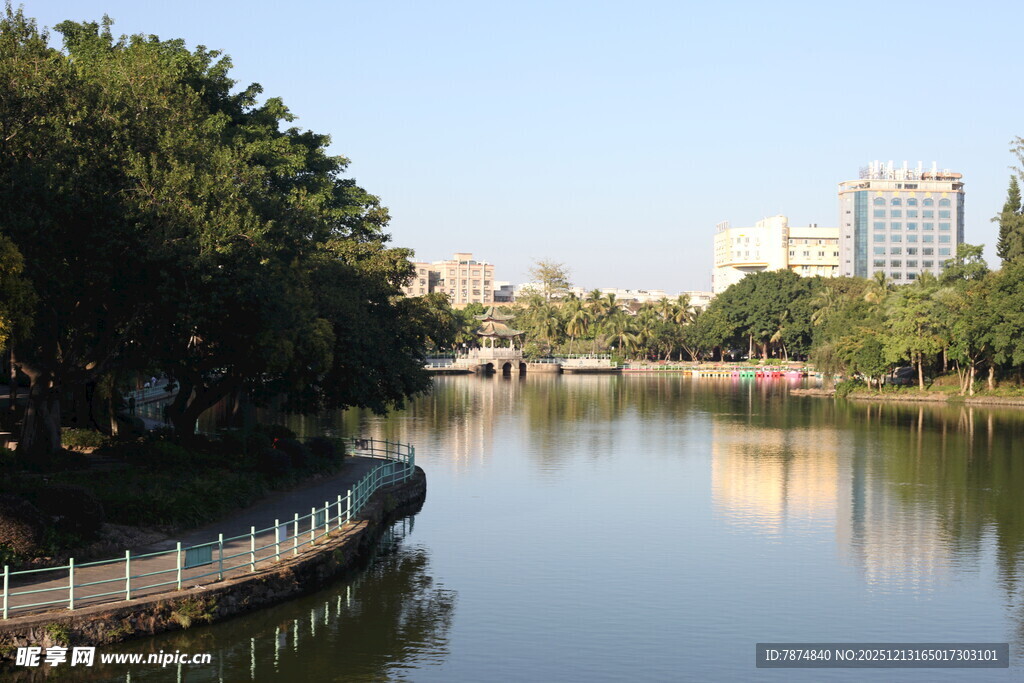湖畔绿树环绕的城市风光