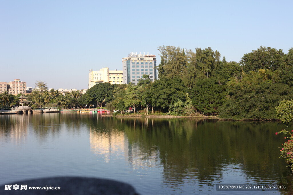 湖畔绿树环绕的宁静风光