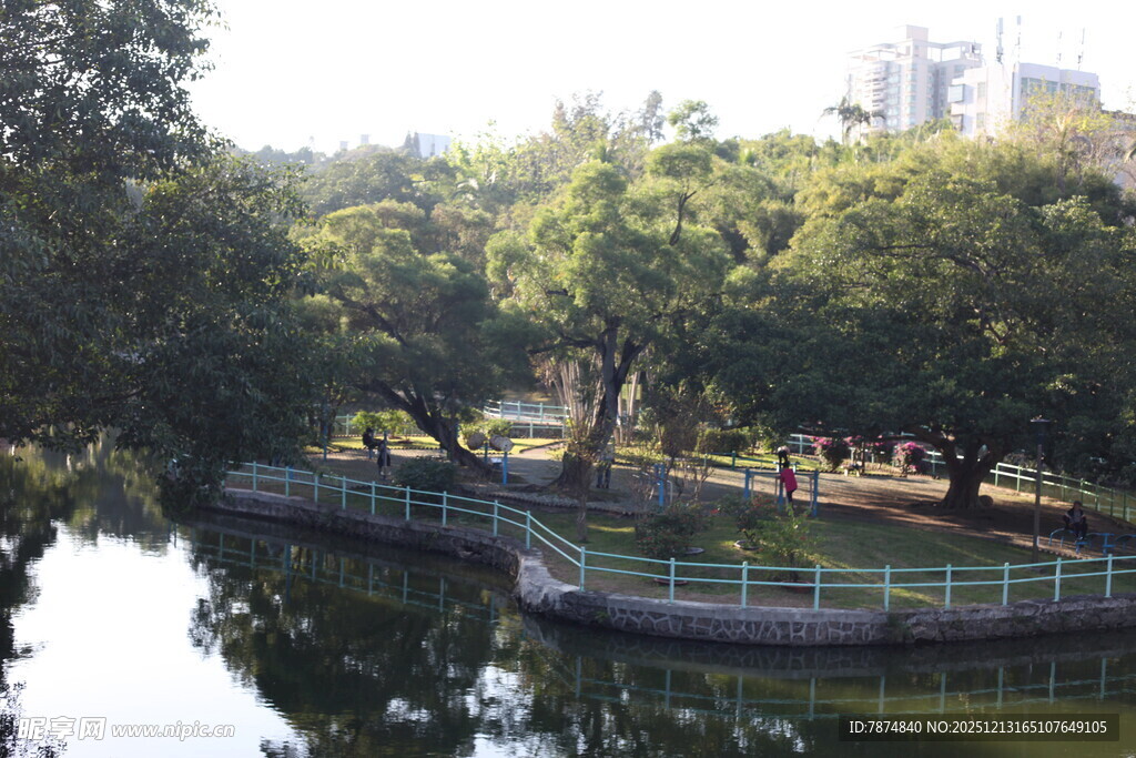 湖畔绿树环绕的静谧公园