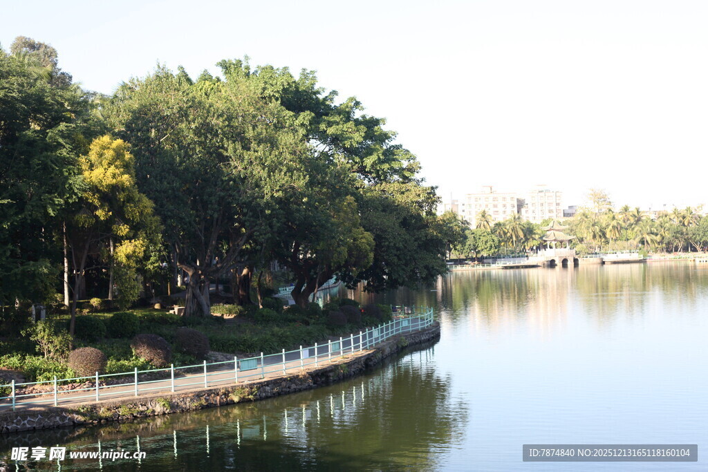 湖畔绿树环绕的优美景致