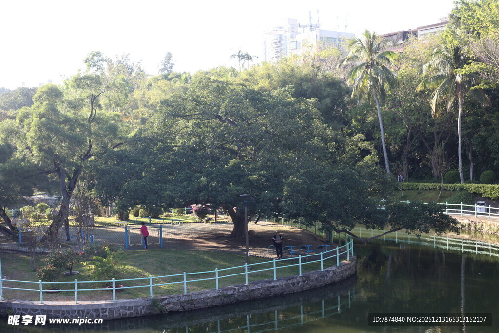 湖畔绿树环绕的休闲公园