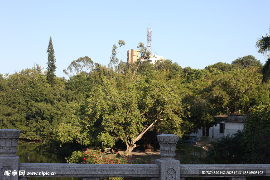 绿树掩映中的建筑景观