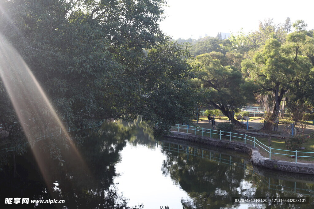 湖畔绿树环绕的静谧风光