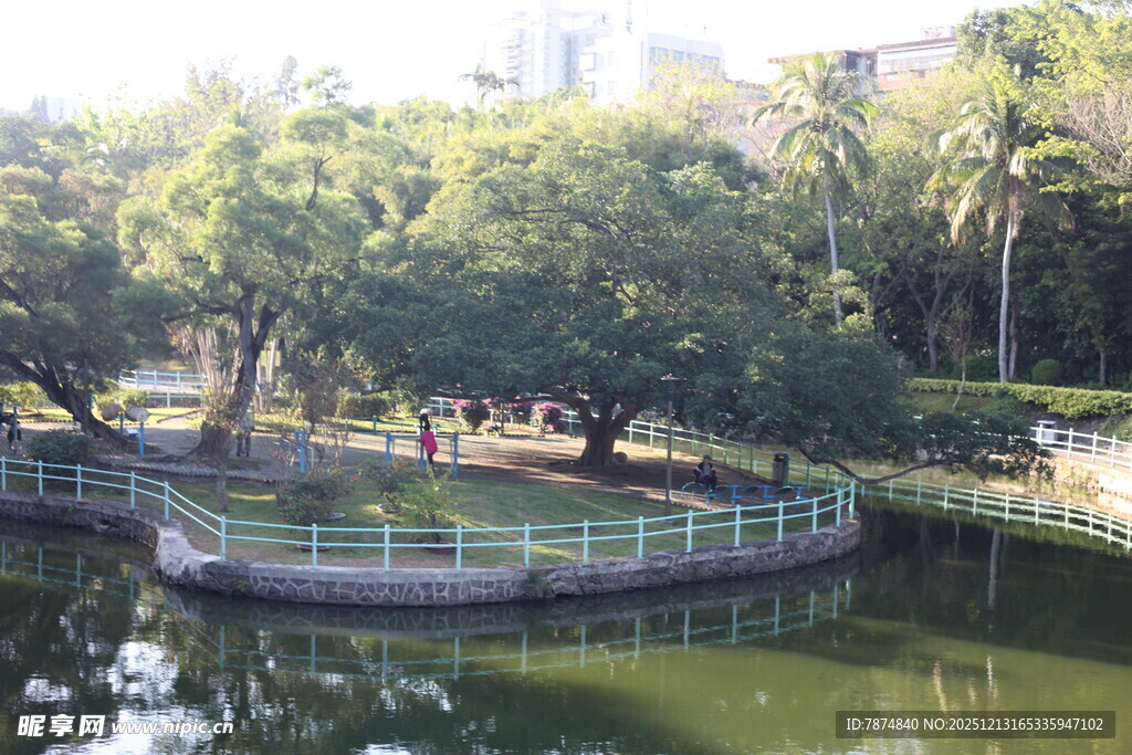 公园湖畔绿树环绕美景