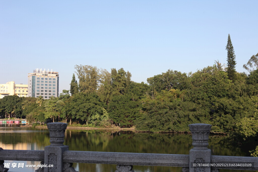 湖畔绿树环绕的城市景致