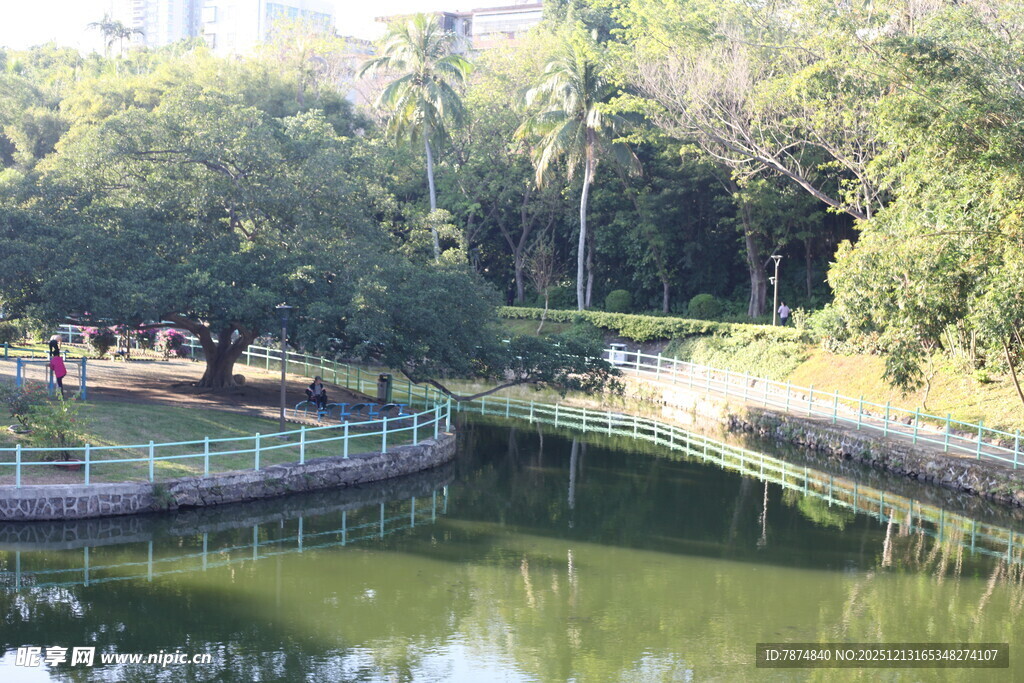 湖畔绿荫环绕的宁静风光