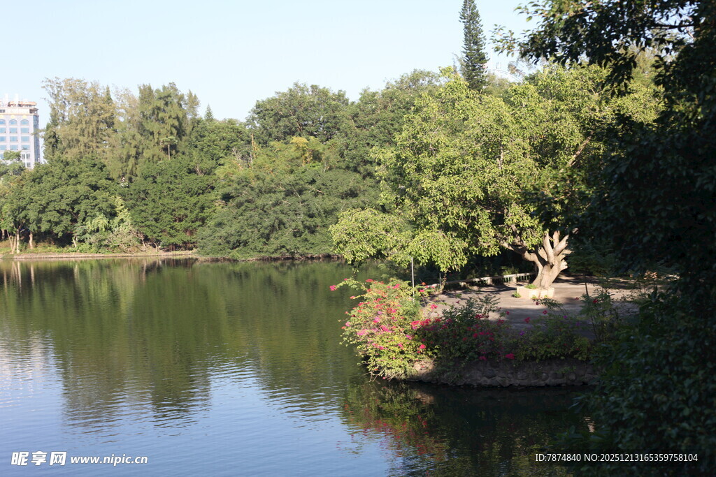 湖畔绿树成荫的静谧风光