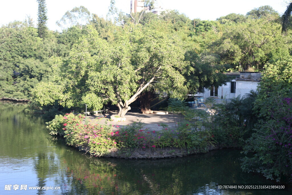 湖畔绿树环绕的静谧景致