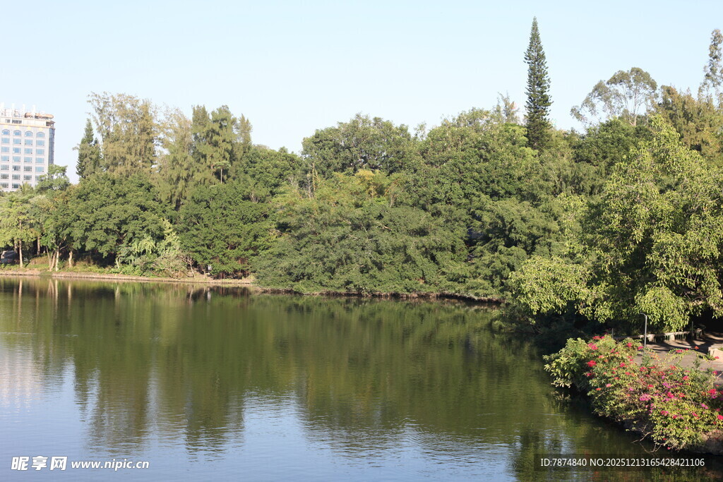 湖畔绿树环绕的自然美景