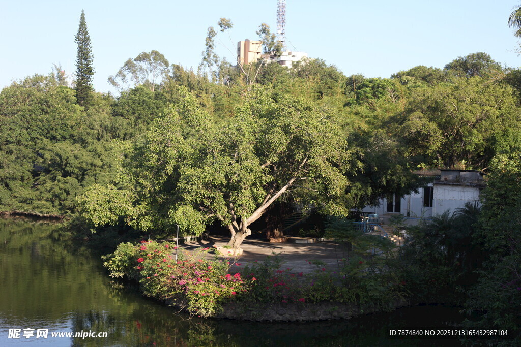 湖畔绿意盎然的自然景致
