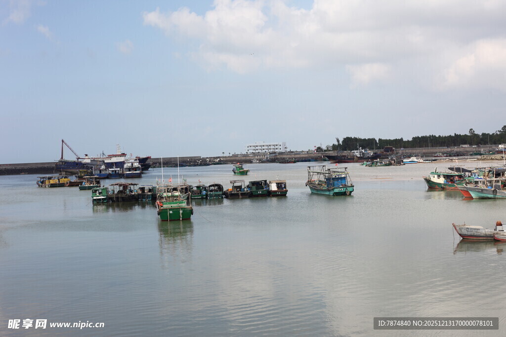宁静港湾中的停泊渔船