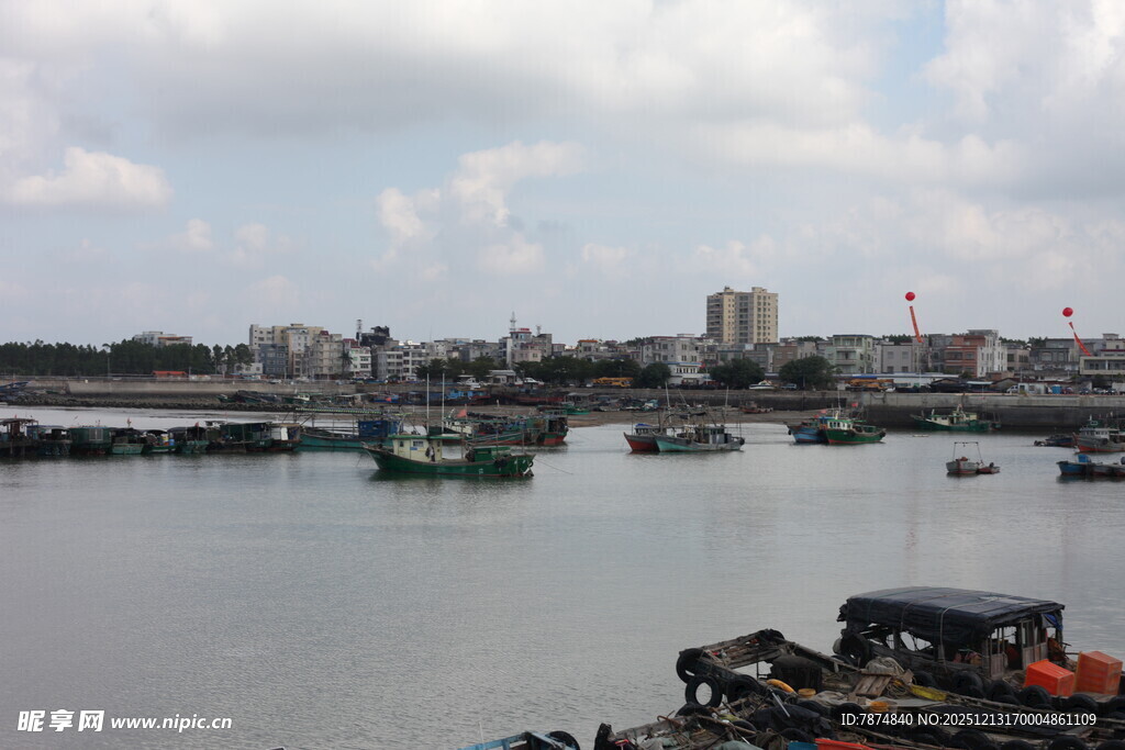 港口停泊船只的风景