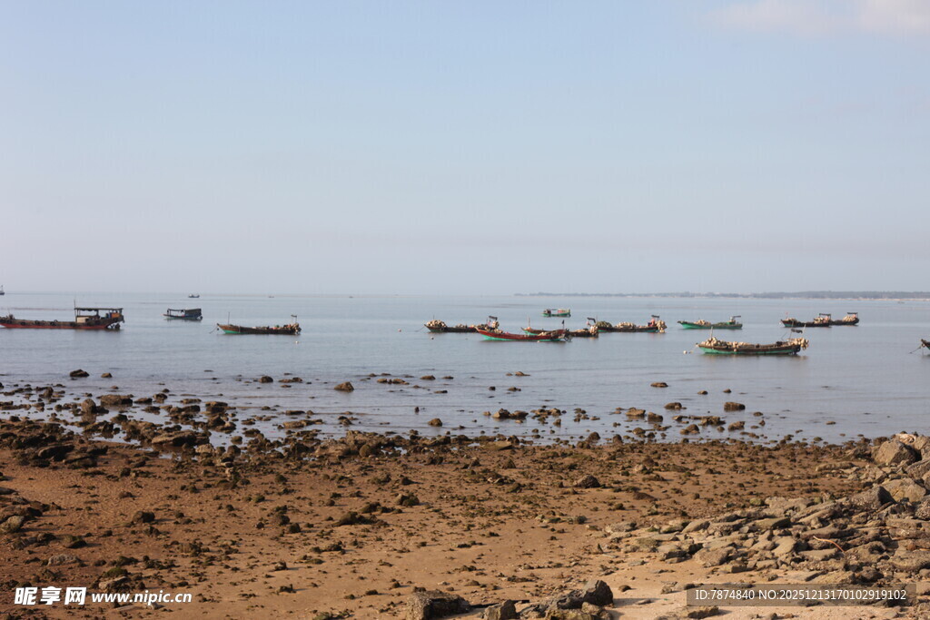 海边停泊多艘小船景象