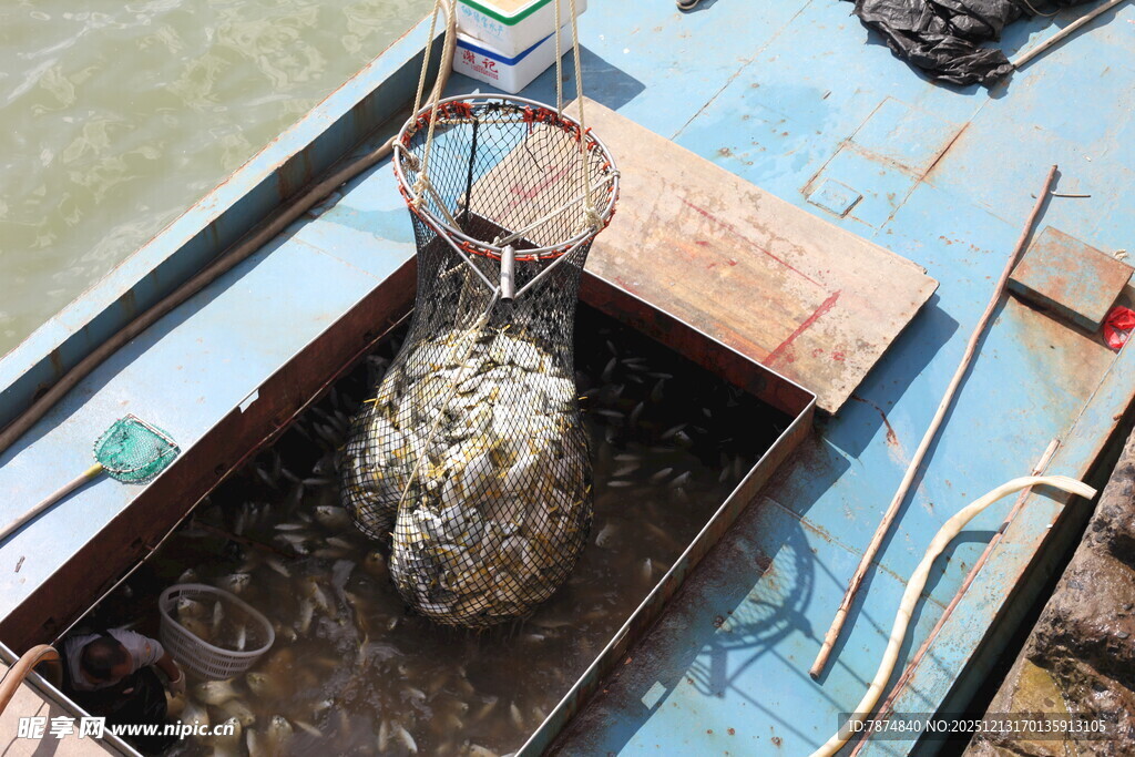 船上打捞起的神秘物体