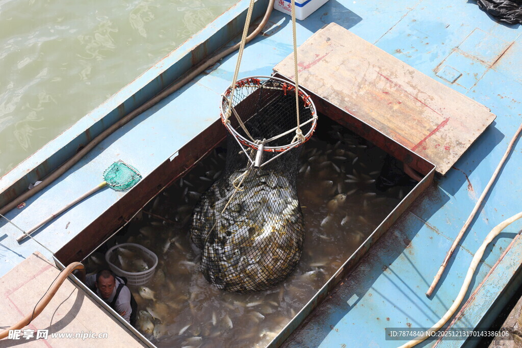 船上捕获的神秘海洋生物