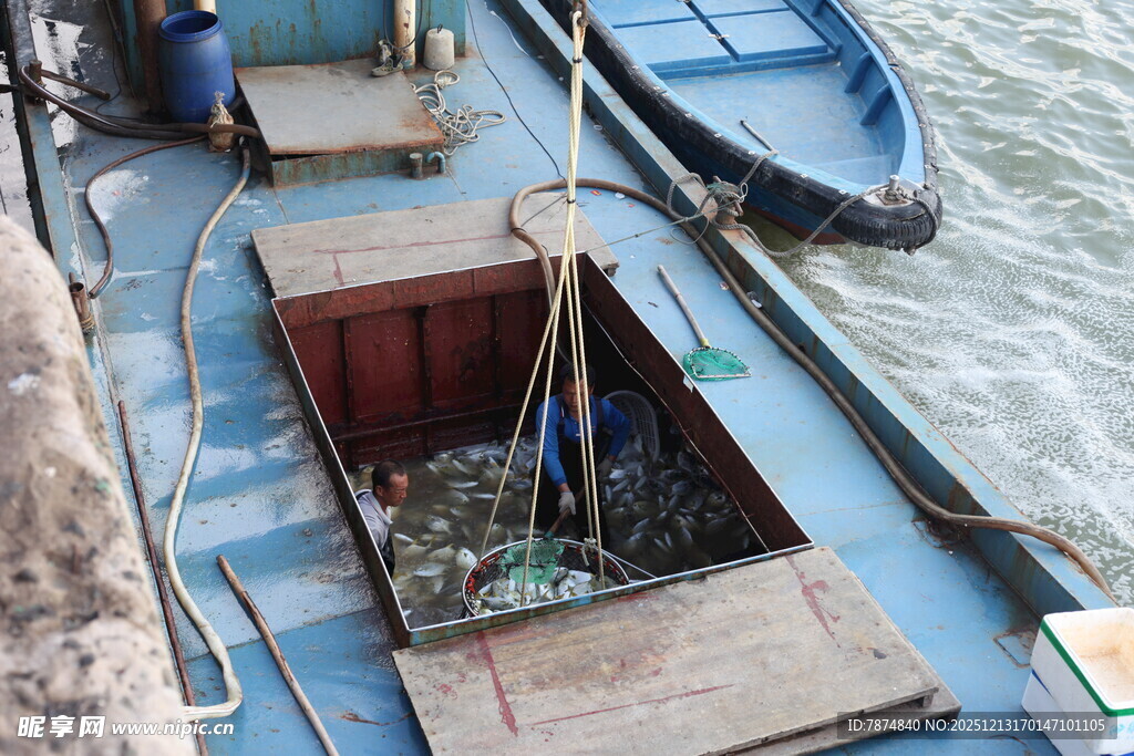 停靠岸边的简易木质小船