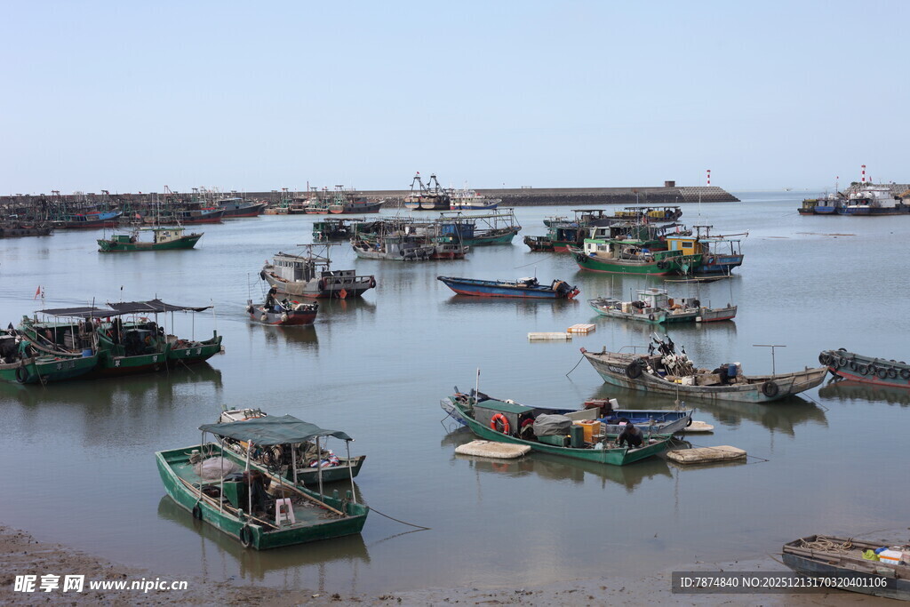 港湾中的众多渔船停泊景象