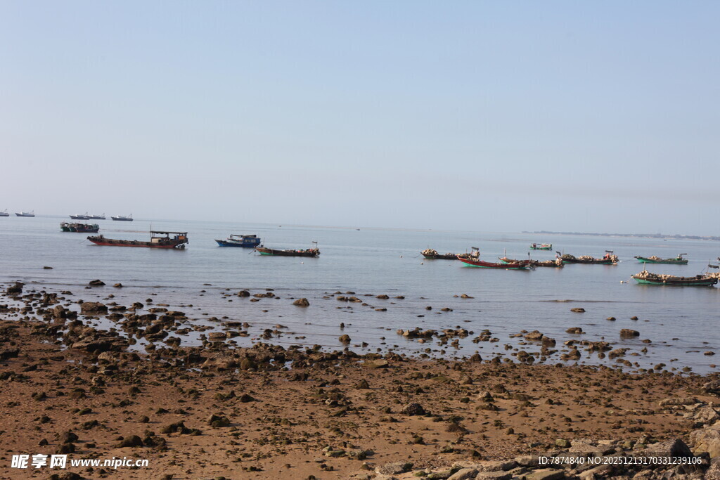 海边停泊的众多船只