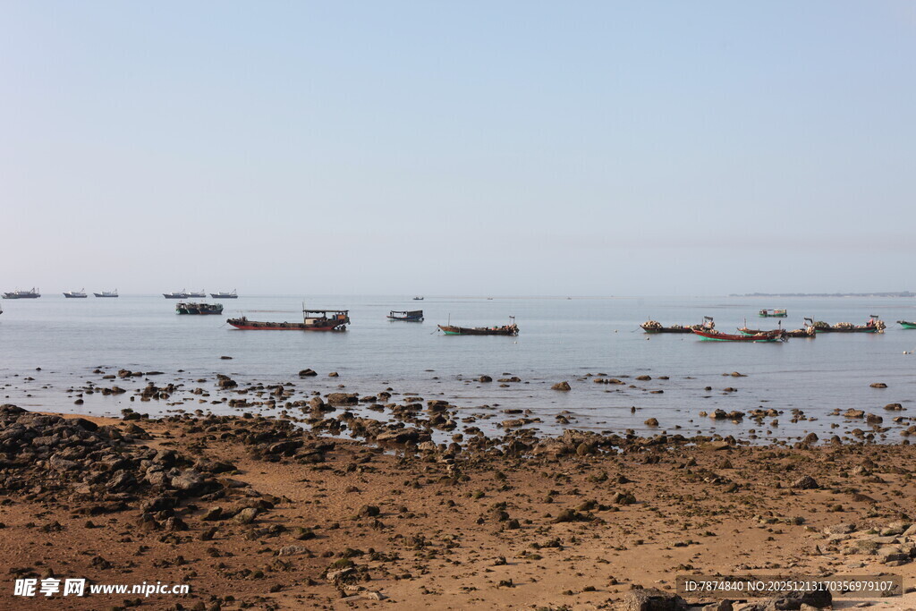 海边停泊的众多船只