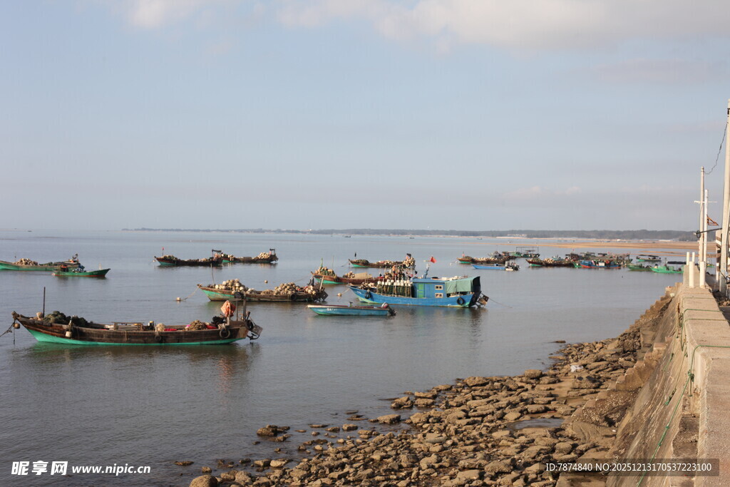 海边停靠着多艘渔船