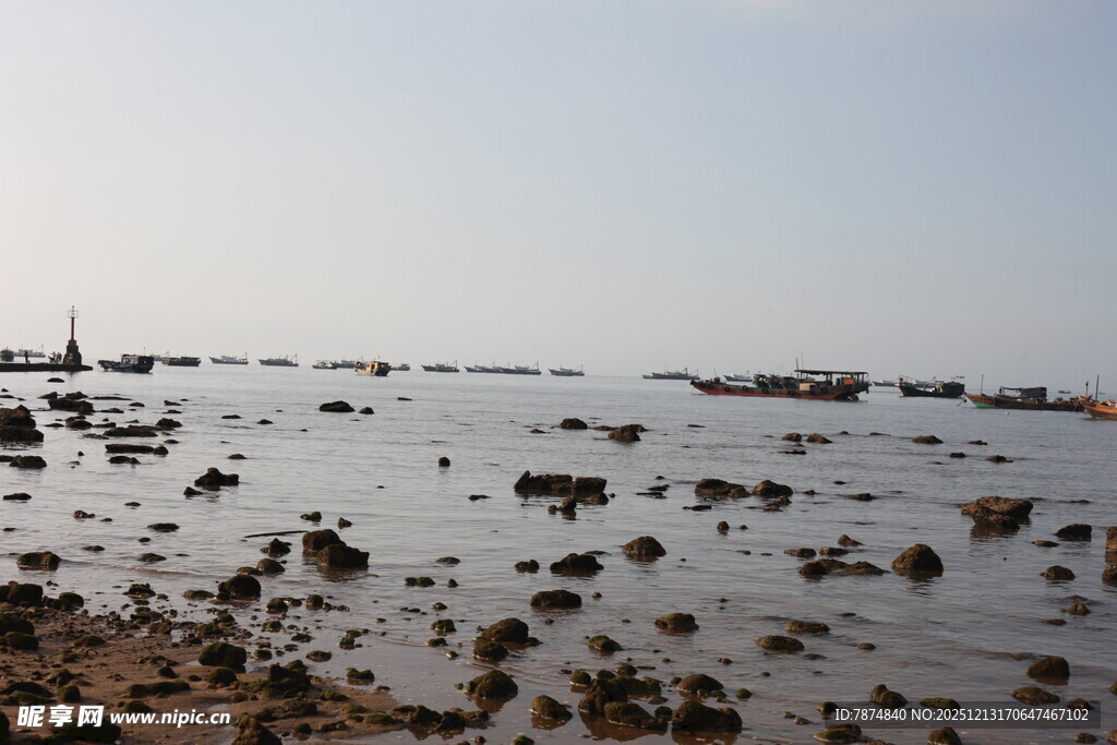 海边滩涂景象