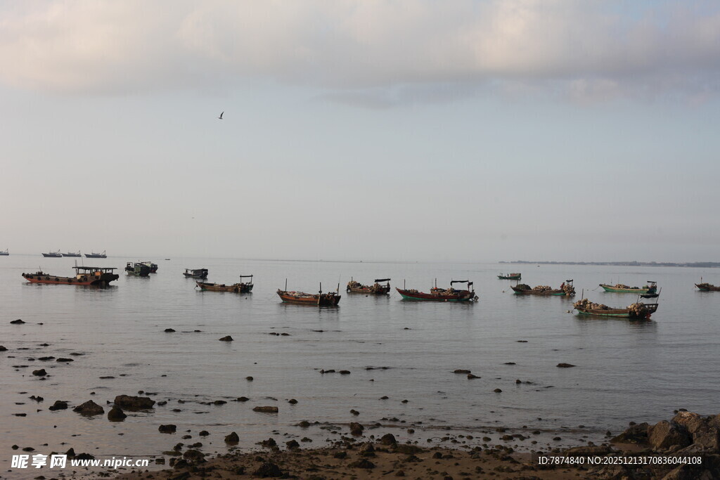 海边停泊的众多小船