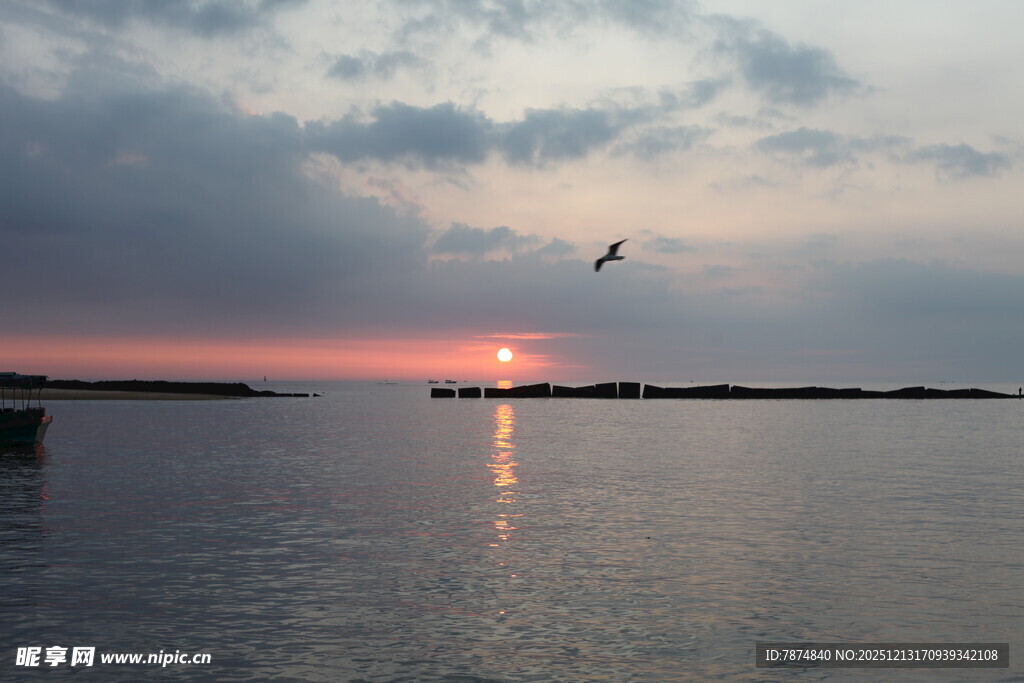 夕阳下飞鸟掠过平静水面