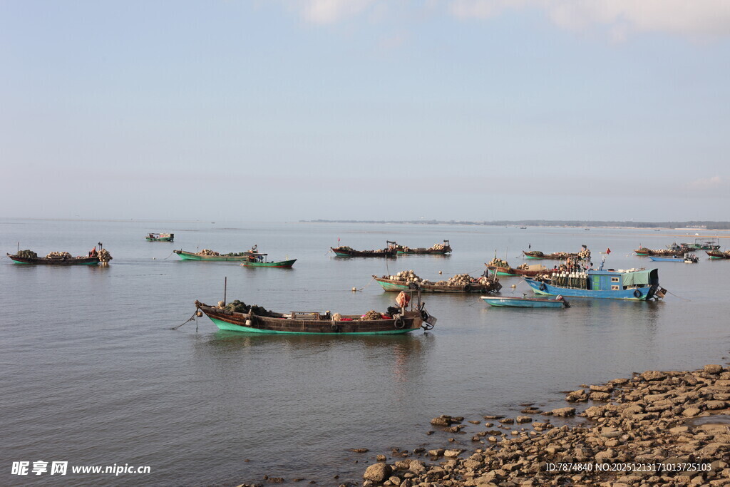 海边停泊的多艘渔船