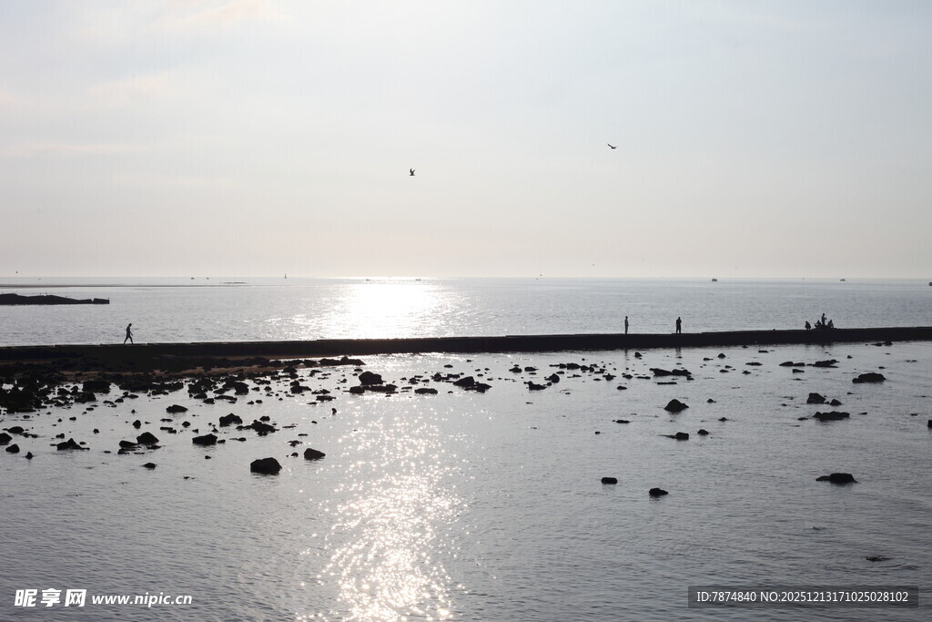 海边日出下的静谧滩涂