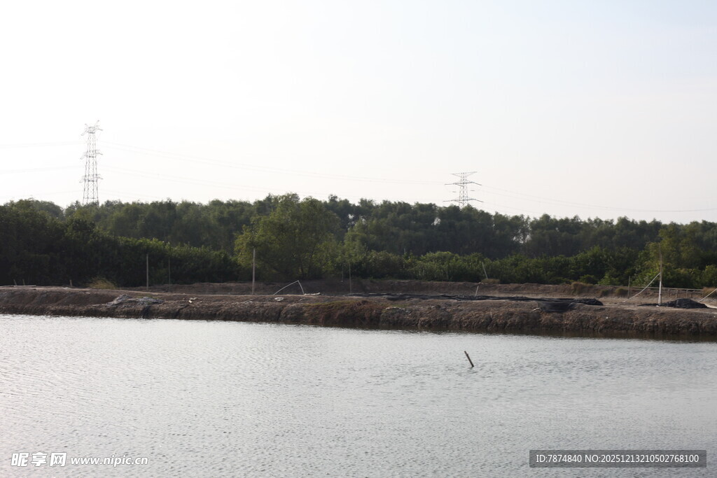 湖畔风光远处林木葱茏