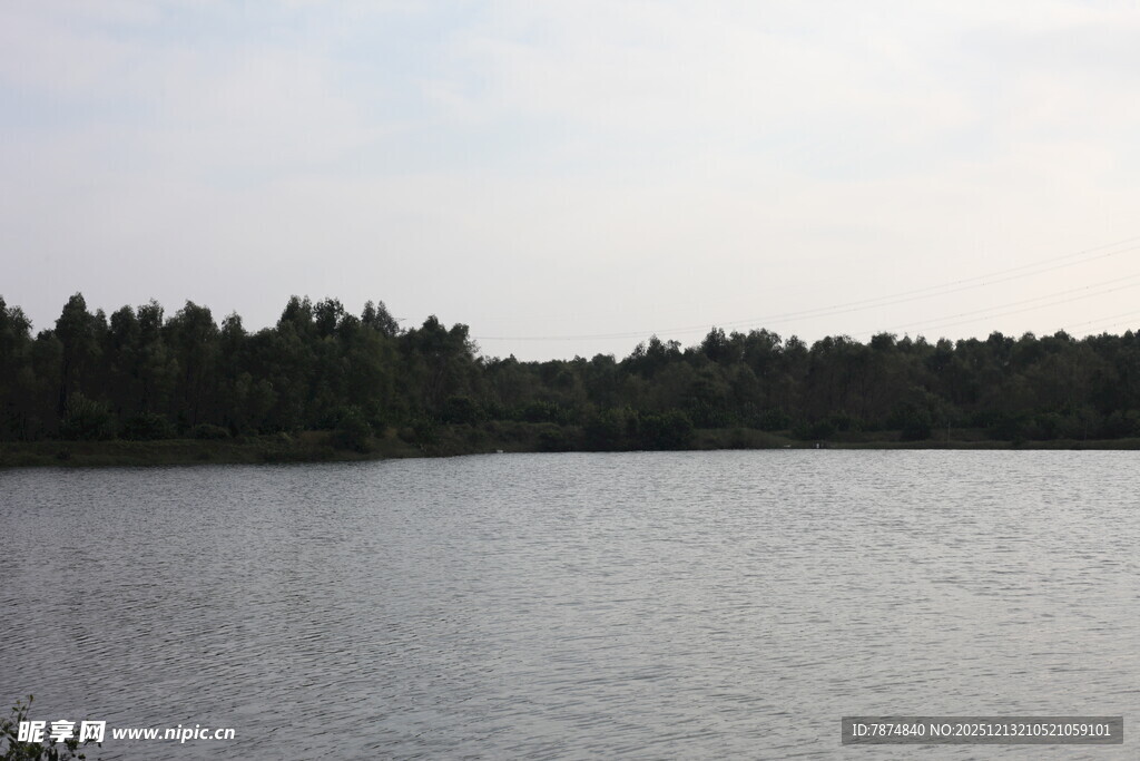 宁静湖畔的自然风光