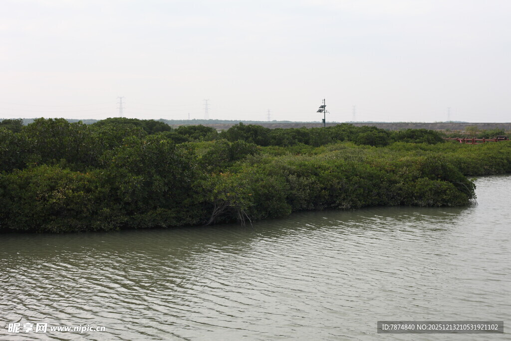 河畔绿植环绕的宁静水域