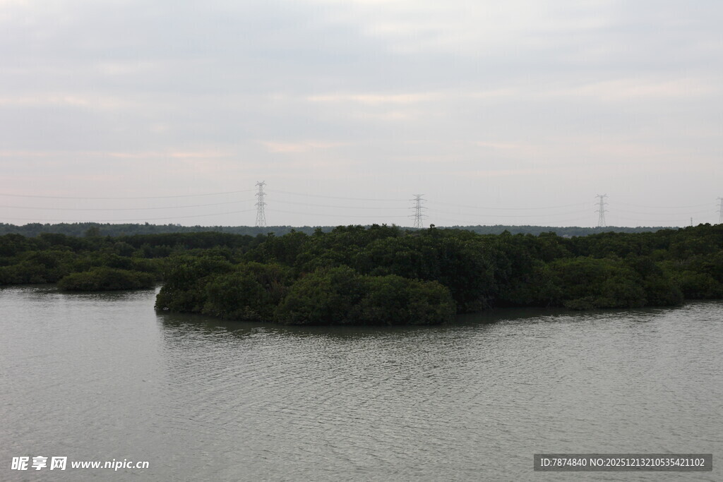 河畔绿意盎然的自然景致