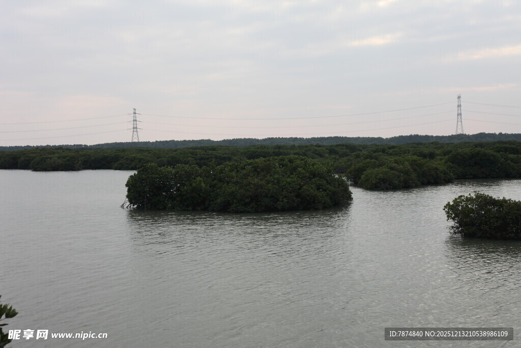 宁静水域中的绿色岛屿