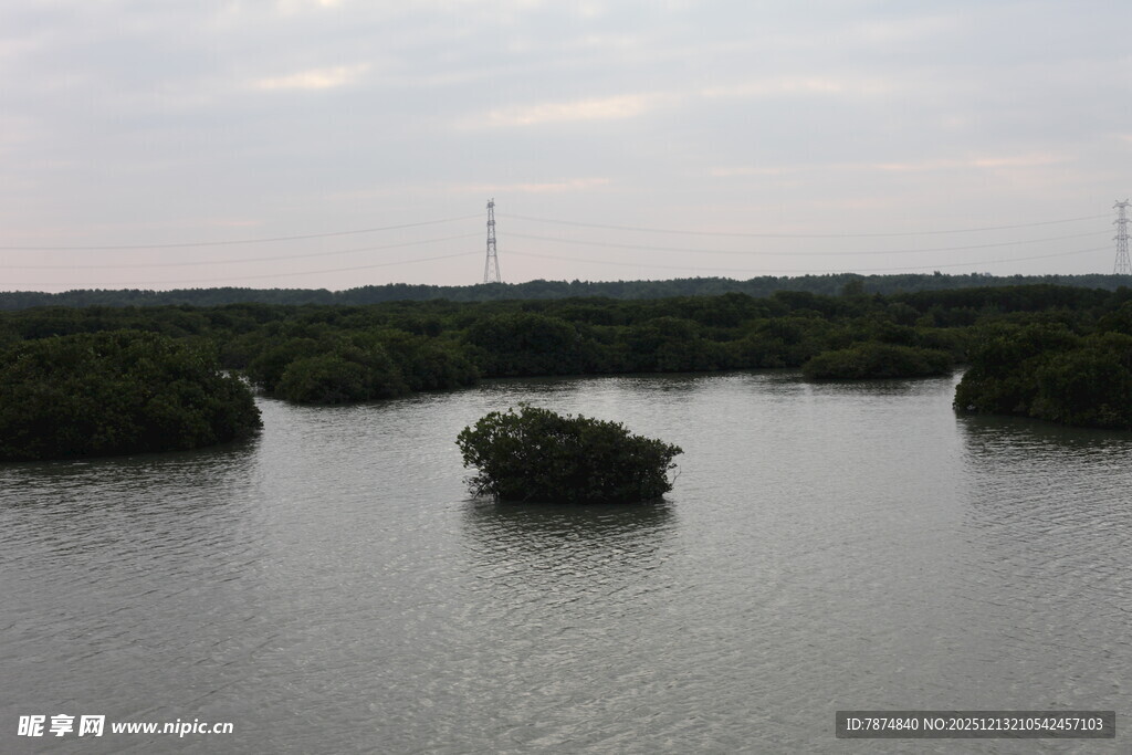湿地水域中的孤岛景观