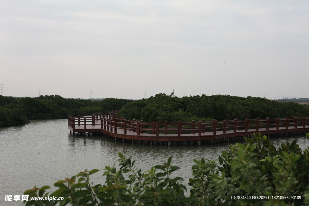 河畔木质栈道风景